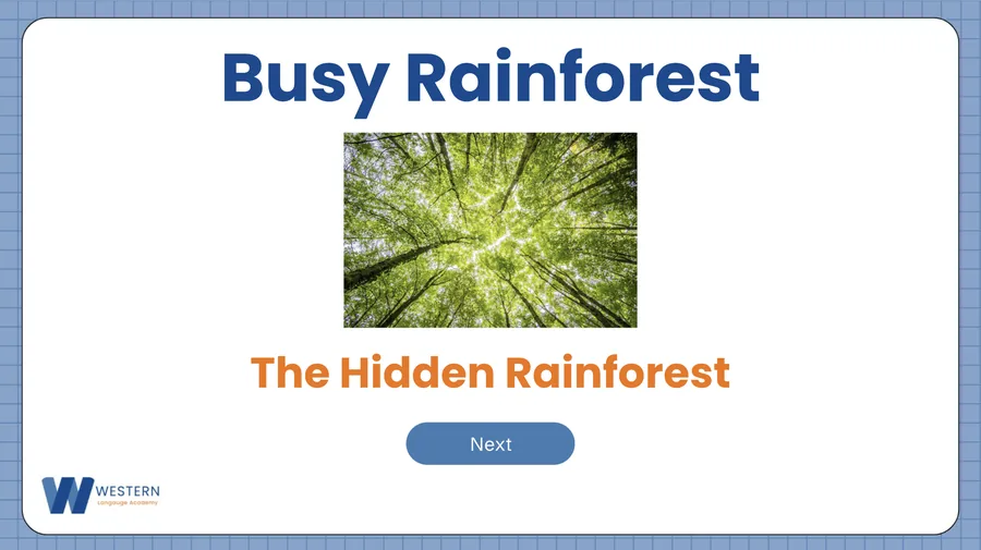 Cover image for Busy Rainforest